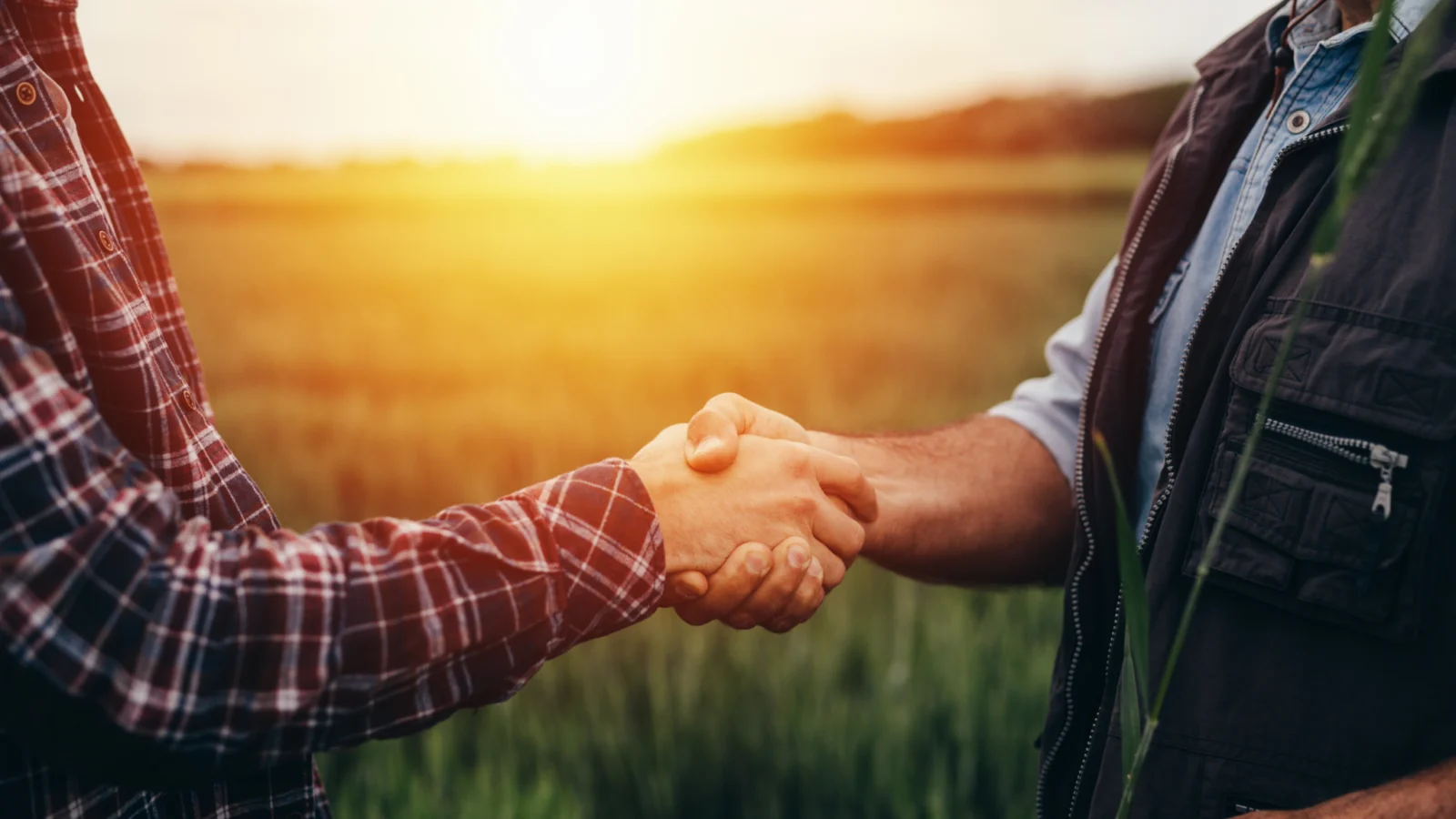 handshake